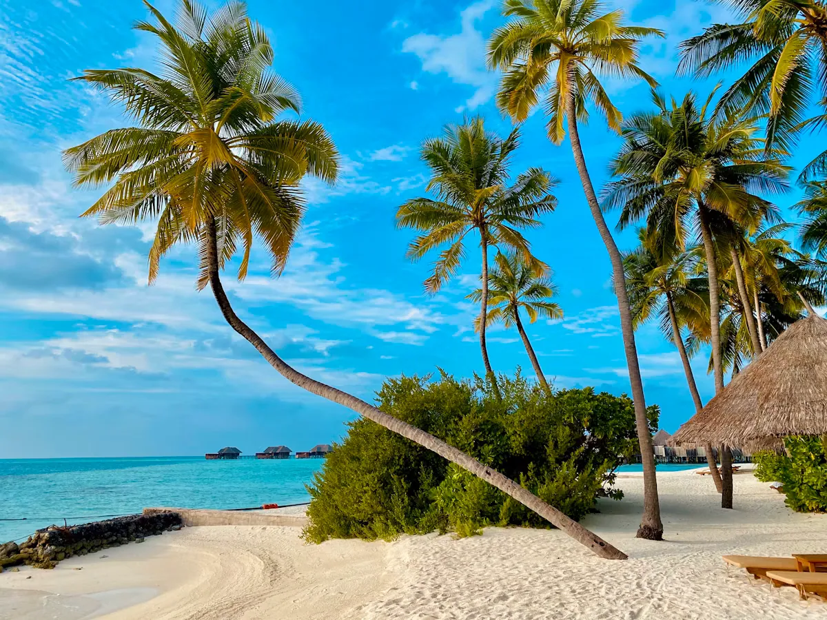 Saona Island - luxury yacht rental in Cap Cana marina