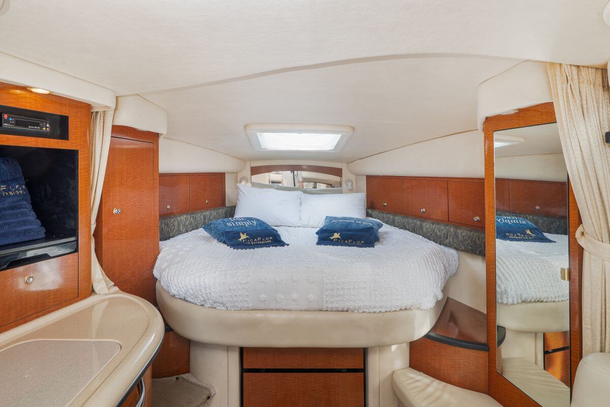Sea Ray 340 photo 4
