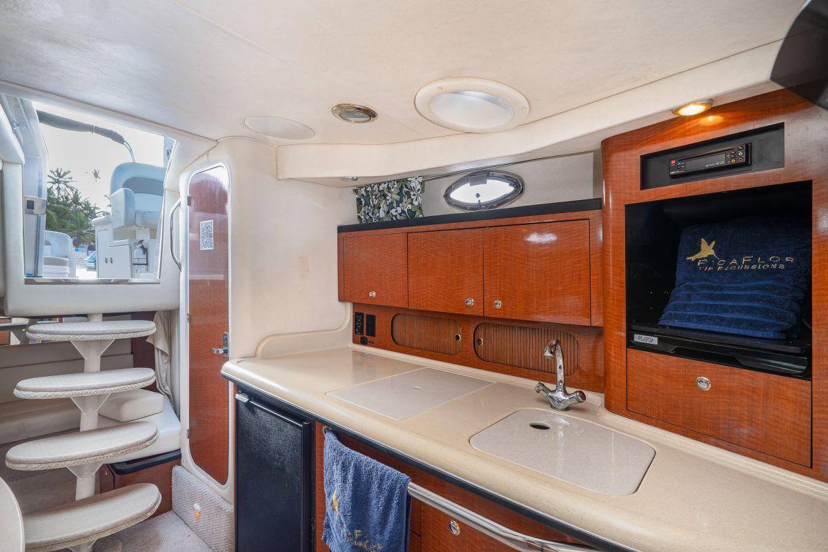 Sea Ray 340 photo 5